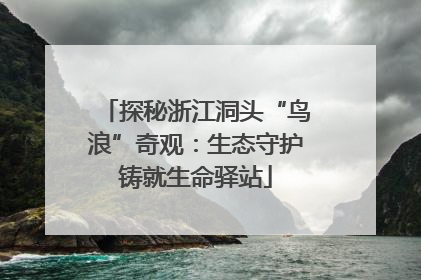 探秘浙江洞头“鸟浪”奇观：生态守护铸就生命驿站