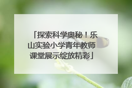 探索科学奥秘！乐山实验小学青年教师课堂展示绽放精彩