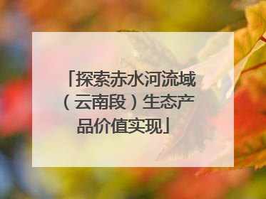 探索赤水河流域（云南段）生态产品价值实现