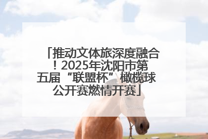 推动文体旅深度融合！2025年沈阳市第五届“联盟杯”橄榄球公开赛燃情开赛