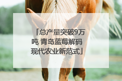 总产量突破9万吨 青岛蓝莓解码现代农业新范式