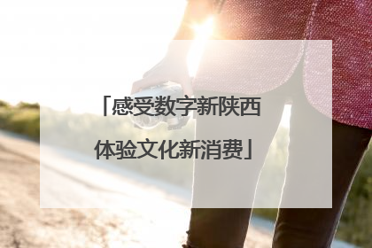 感受数字新陕西 体验文化新消费
