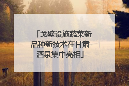 戈壁设施蔬菜新品种新技术在甘肃酒泉集中亮相