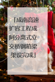 成南高速扩容工程成阿分离式立交桥钢箱梁架设完成