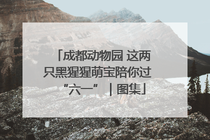 成都动物园 这两只黑猩猩萌宝陪你过“六一”｜图集