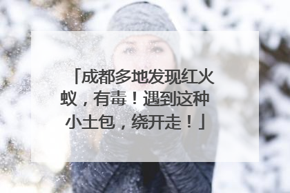 成都多地发现红火蚁，有毒！遇到这种小土包，绕开走！