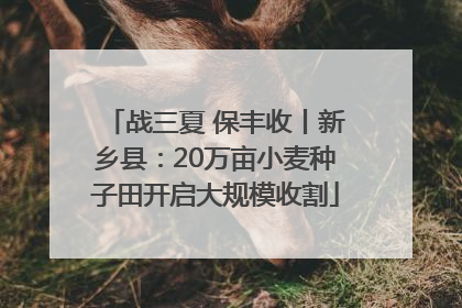 战三夏 保丰收丨新乡县：20万亩小麦种子田开启大规模收割