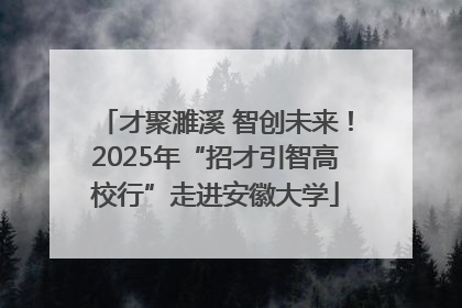 才聚濉溪 智创未来！2025年“招才引智高校行”走进安徽大学