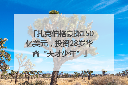 扎克伯格豪掷150亿美元，投资28岁华裔“天才少年”