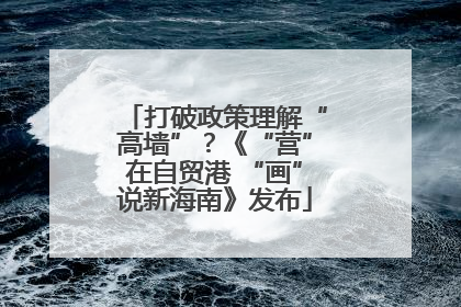 打破政策理解“高墙”？《“营”在自贸港 “画”说新海南》发布