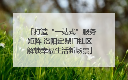 打造“一站式”服务矩阵 洛阳定鼎门社区解锁幸福生活新场景
