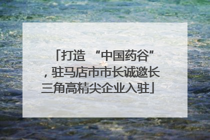 打造 “中国药谷”，驻马店市市长诚邀长三角高精尖企业入驻