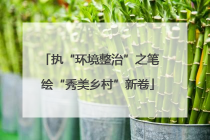 执“环境整治”之笔 绘“秀美乡村”新卷