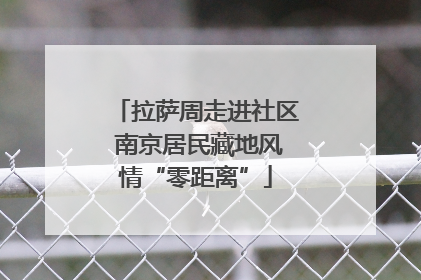 拉萨周走进社区 南京居民藏地风情“零距离”