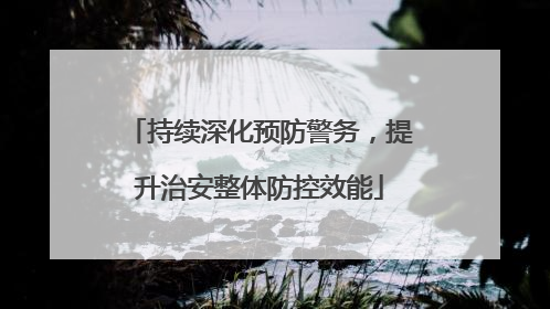 持续深化预防警务，提升治安整体防控效能