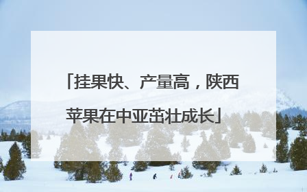 挂果快、产量高，陕西苹果在中亚茁壮成长