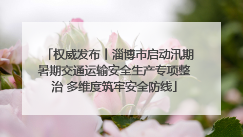 权威发布丨淄博市启动汛期暑期交通运输安全生产专项整治 多维度筑牢安全防线