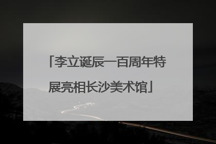 李立诞辰一百周年特展亮相长沙美术馆