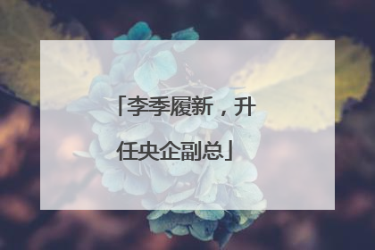 李季履新，升任央企副总