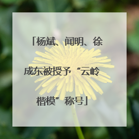 杨斌、闻明、徐成东被授予“云岭楷模”称号