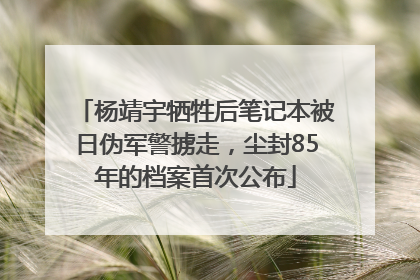 杨靖宇牺牲后笔记本被日伪军警掳走，尘封85年的档案首次公布