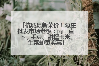 杭城最新菜价！勾庄批发市场老板：雨一直下，毛豆、甜糯玉米、生菜却更实惠