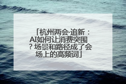 杭州两会·追新：AI如何让消费突围？场景和路径成了会场上的高频词