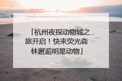 杭州夜探动物城之旅开启！快来荧光森林邂逅明星动物