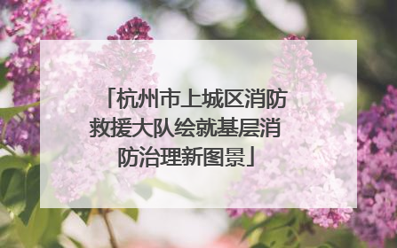 杭州市上城区消防救援大队绘就基层消防治理新图景