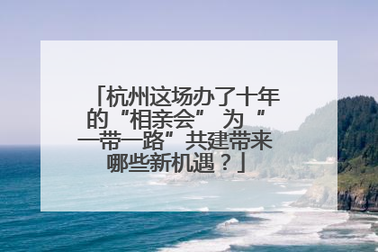 杭州这场办了十年的“相亲会” 为“一带一路”共建带来哪些新机遇？