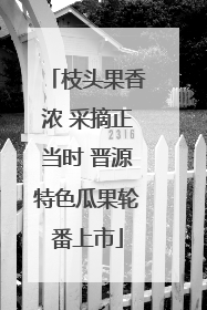 枝头果香浓 采摘正当时 晋源特色瓜果轮番上市