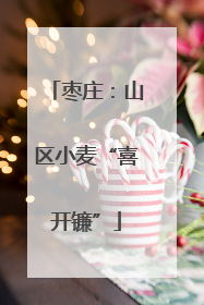 枣庄：山区小麦“喜开镰”