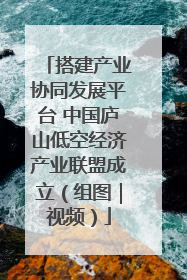 搭建产业协同发展平台 中国庐山低空经济产业联盟成立（组图｜视频）