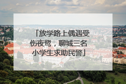 放学路上偶遇受伤夜鹭，聊城三名小学生求助民警