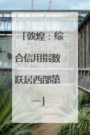 敦煌：综合信用指数跃居西部第一