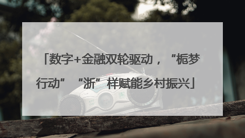 数字+金融双轮驱动，“栀梦行动”“浙”样赋能乡村振兴