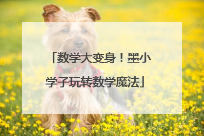 数学大变身！墨小学子玩转数学魔法