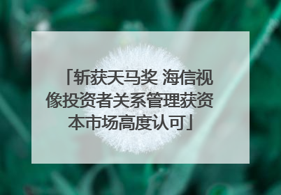 斩获天马奖 海信视像投资者关系管理获资本市场高度认可