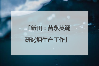 新田：黄永英调研烤烟生产工作
