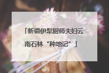 新疆伊犁厨师夫妇云南石林“种地记”