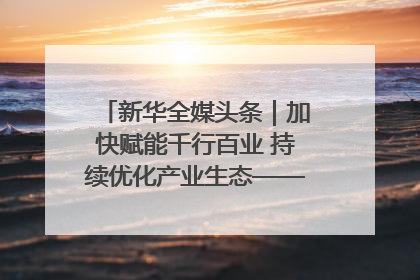 新华全媒头条｜加快赋能千行百业 持续优化产业生态——浙江推动人工智能健康有序发展观察