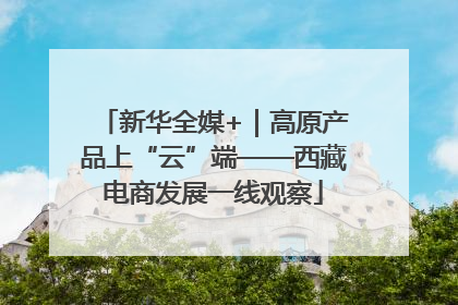 新华全媒+｜高原产品上“云”端——西藏电商发展一线观察