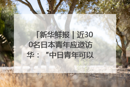 新华鲜报｜近300名日本青年应邀访华：“中日青年可以创造更好的未来”