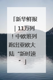 新华鲜报｜11万列！中欧班列跑出亚欧大陆“新时速”
