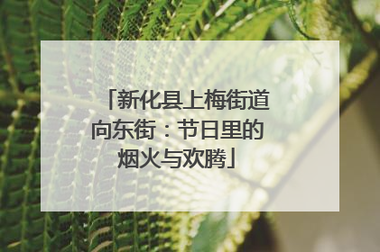新化县上梅街道向东街：节日里的烟火与欢腾