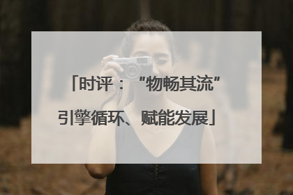 时评：“物畅其流”引擎循环、赋能发展