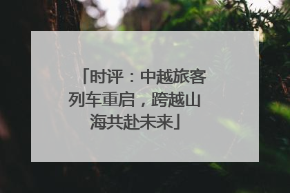 时评：中越旅客列车重启，跨越山海共赴未来