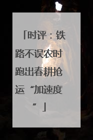 时评：铁路不误农时跑出春耕抢运“加速度”