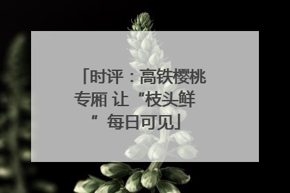 时评：高铁樱桃专厢 让“枝头鲜”每日可见
