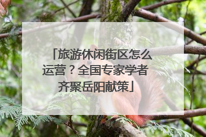 旅游休闲街区怎么运营？全国专家学者齐聚岳阳献策